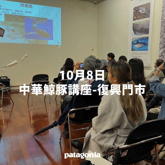 Patagonia X 中華鯨豚協會｜鯨豚、海龜救援介紹案例分享 復興門市-10月8日  ▎講座活動